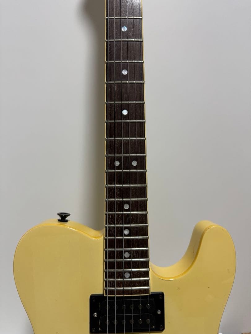 【希望価格募集】Fernandes TEJ BUCK-TICK 今井寿 限定