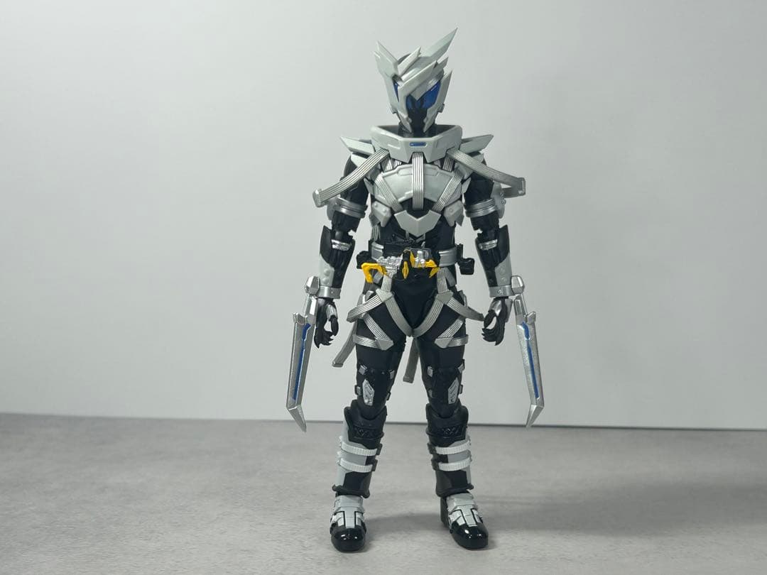 [❗️説明欄必読]S.H.Figuarts 仮面ライダー滅　迅　亡　滅亡迅雷セット