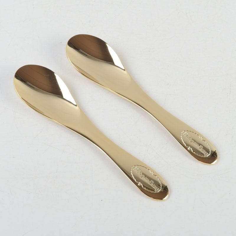 ハーゲンダッツ　スーパープレミアムクラブ　カップ＆スプーン　C　9370