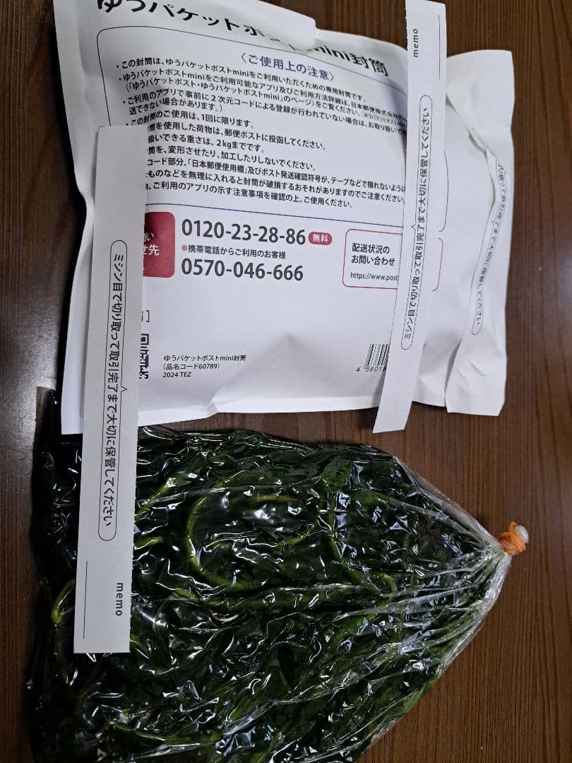 【専用ページ】天然 アナカリス1000本 オオカナダモ