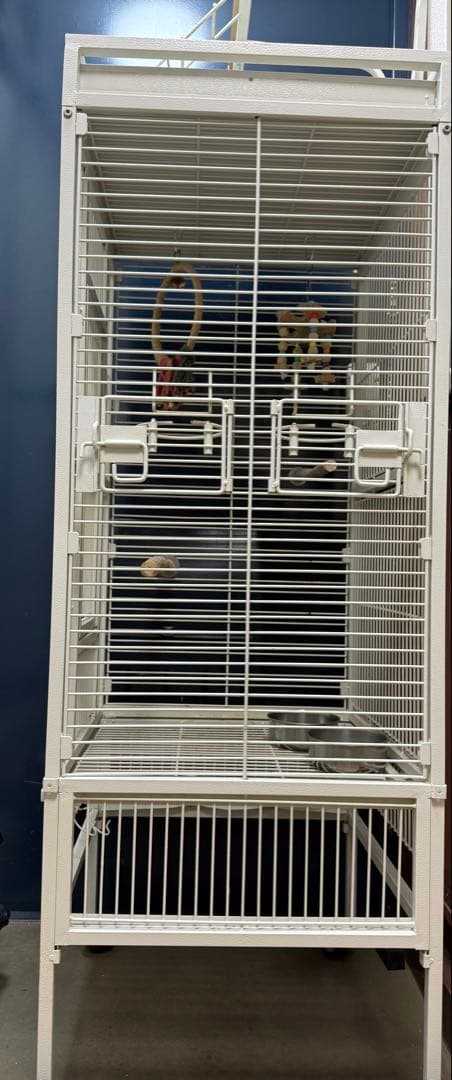 鳥かご大型 [送料込み]