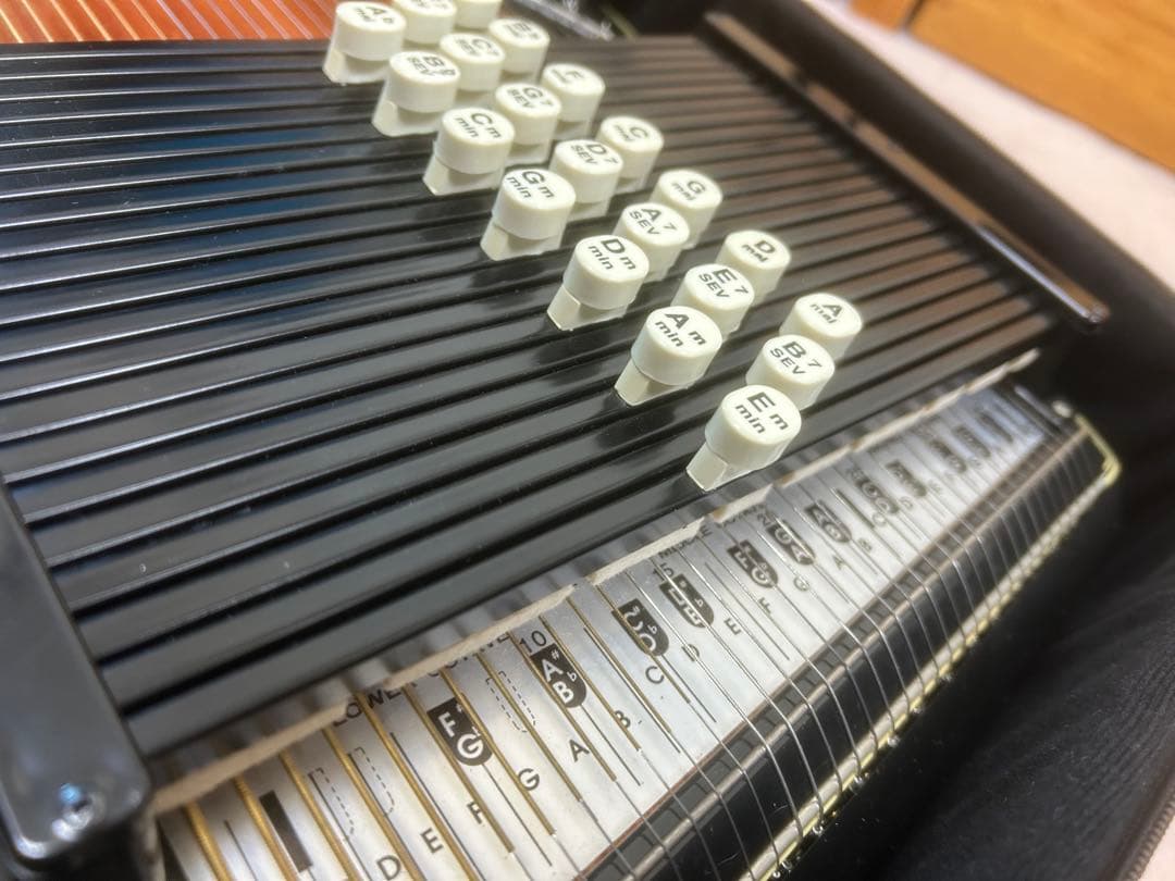 良品 Aria Cordiharp ハープ本体　ケース付き