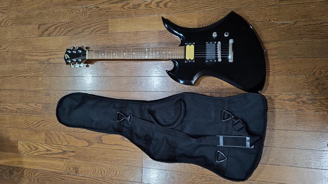 Flavor Electric Guitar エレキギター フレイバー