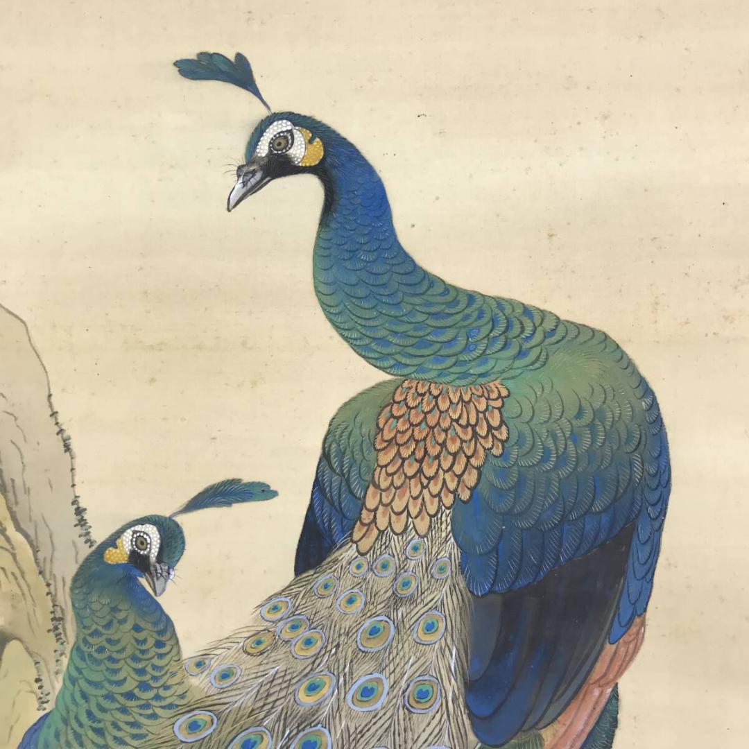 真作/龍洲/孔雀に牡丹図/クジャクにボタン図/花鳥図/掛軸☆宝船☆AH-610
