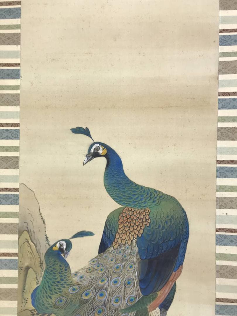 真作/龍洲/孔雀に牡丹図/クジャクにボタン図/花鳥図/掛軸☆宝船☆AH-610