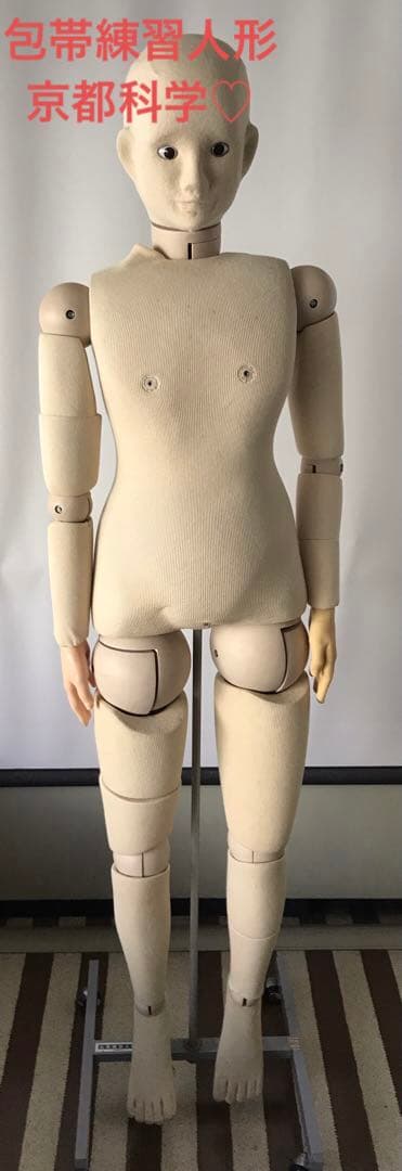 包帯練習人形　京都科学♡