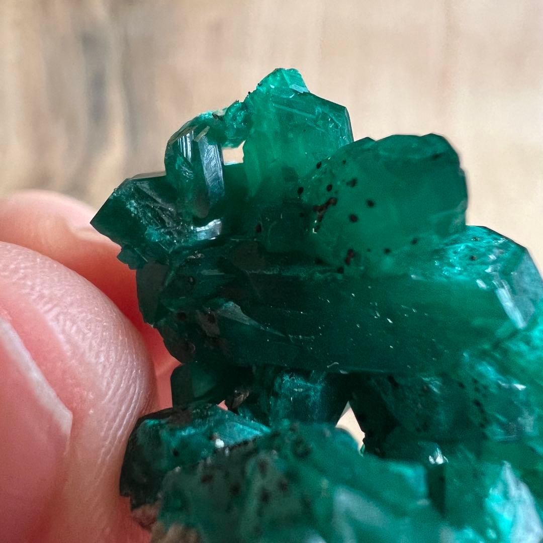 ダイオプテーズ  A5 鉱物 標本 原石