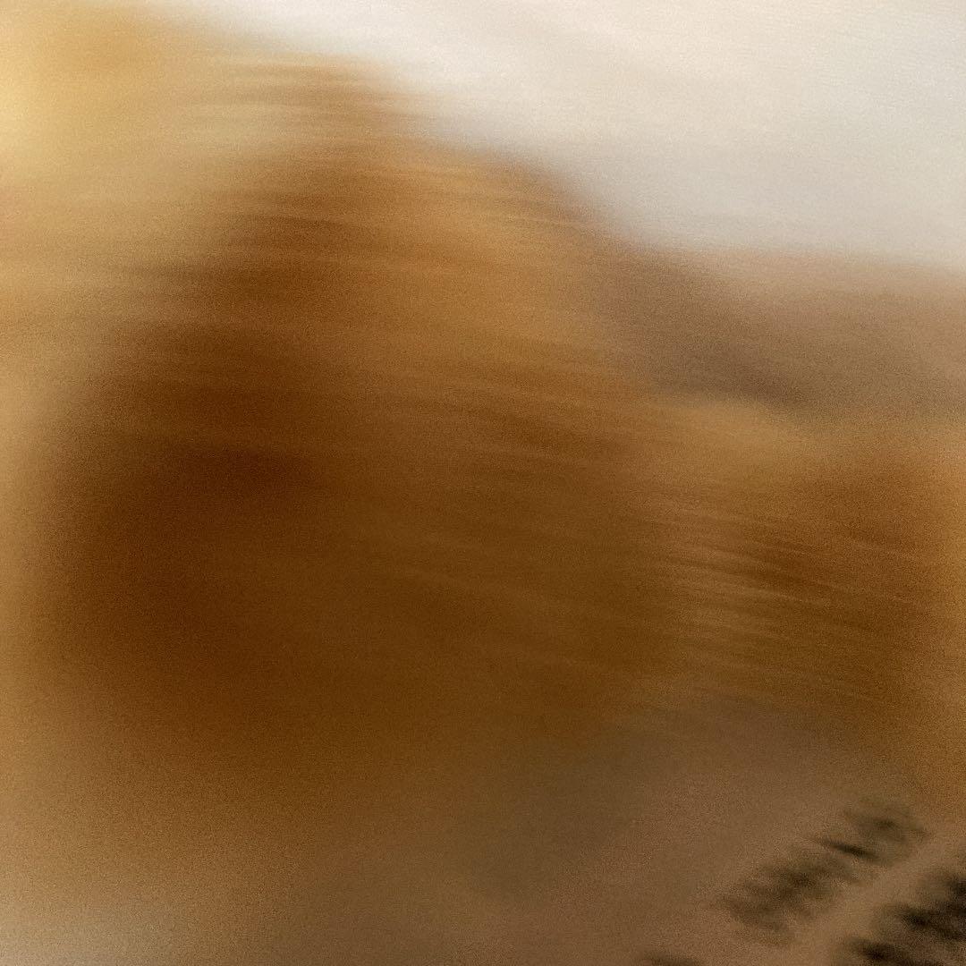 毛皮　ぬいぐるみ　リアルファー　キツネかな