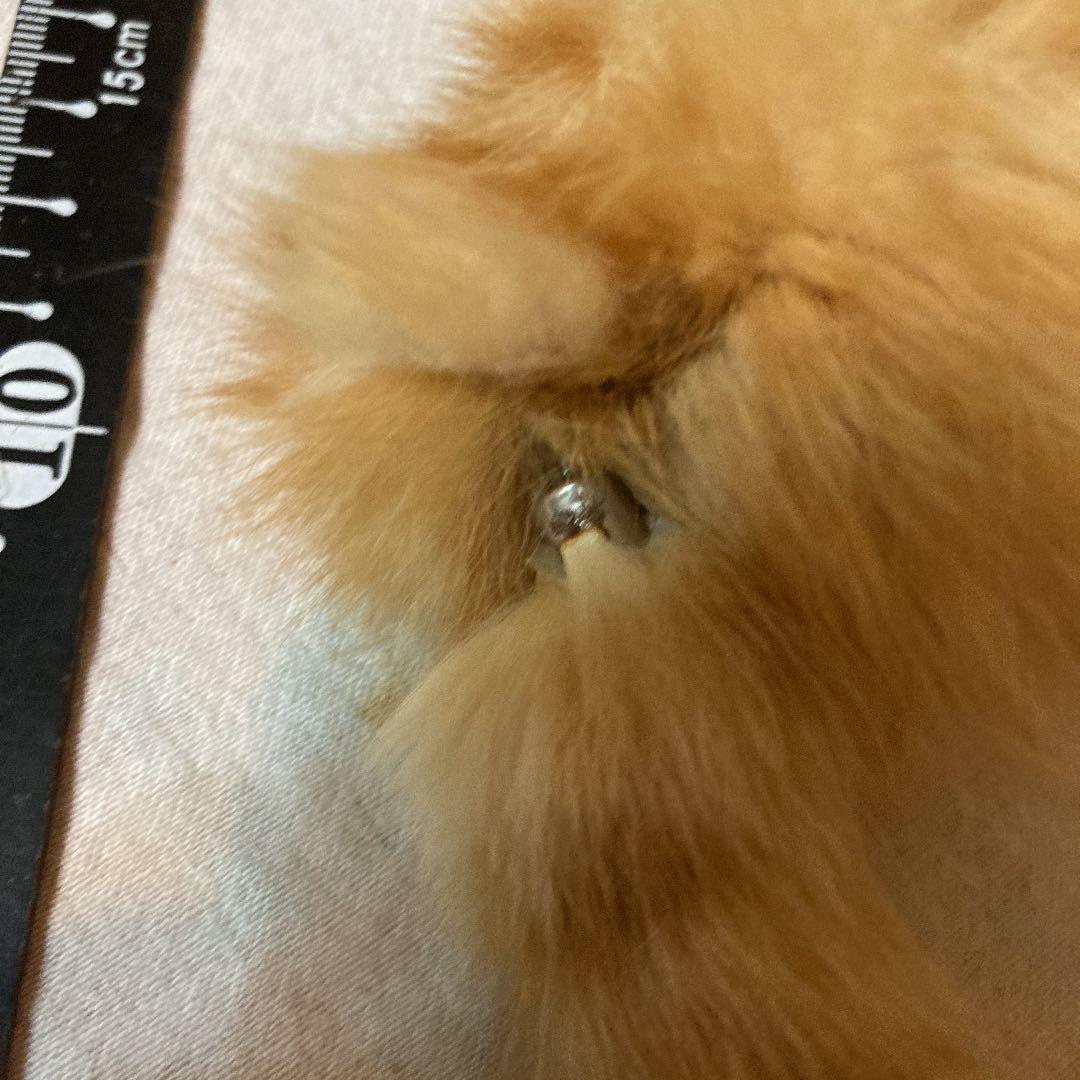 毛皮　ぬいぐるみ　リアルファー　キツネかな