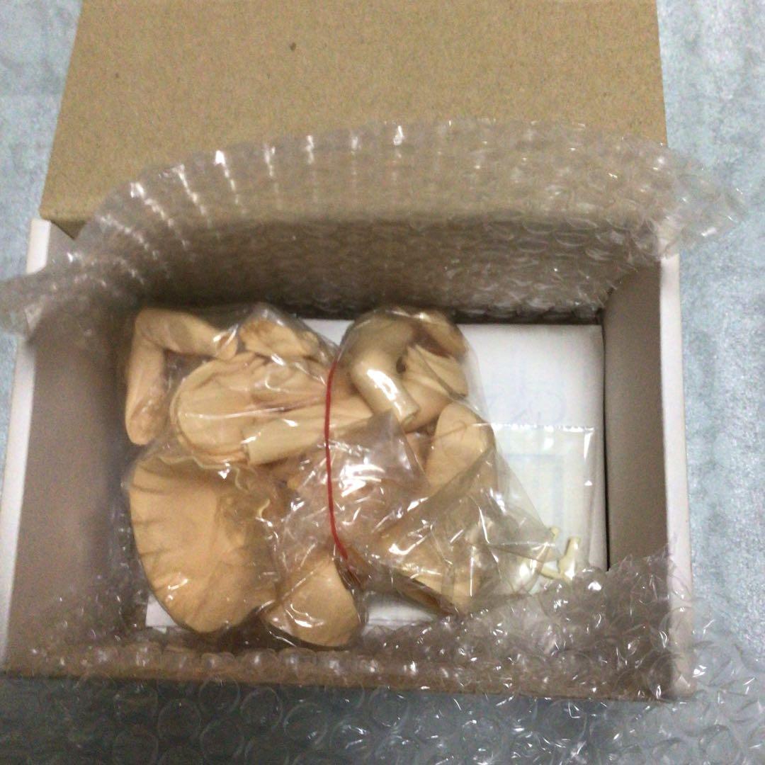 トリブレイン　ガレージキット　チョコちゃん　未組み立て中古品