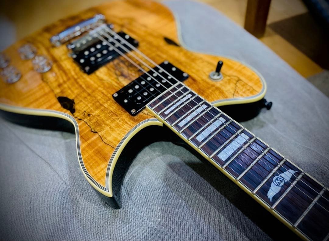 ワッシュバーンUSA washburn WILDXSPLTD 並行輸入品