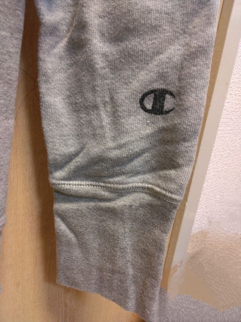 スピッツ20周年記念　ila×champion コラボパーカー　Lサイズ