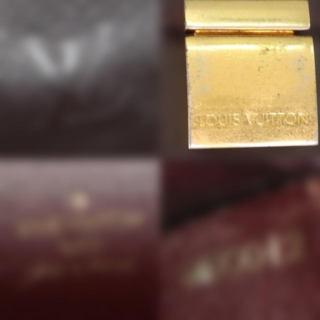 Louis Vuitton エピ セルヴィエット コンセイエ　ビジネスバッグ 茶