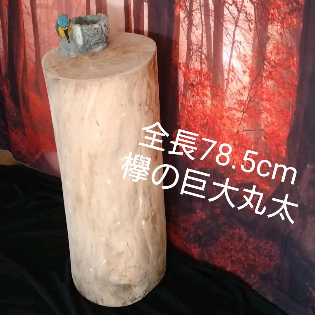 激レア!欅の丸太F