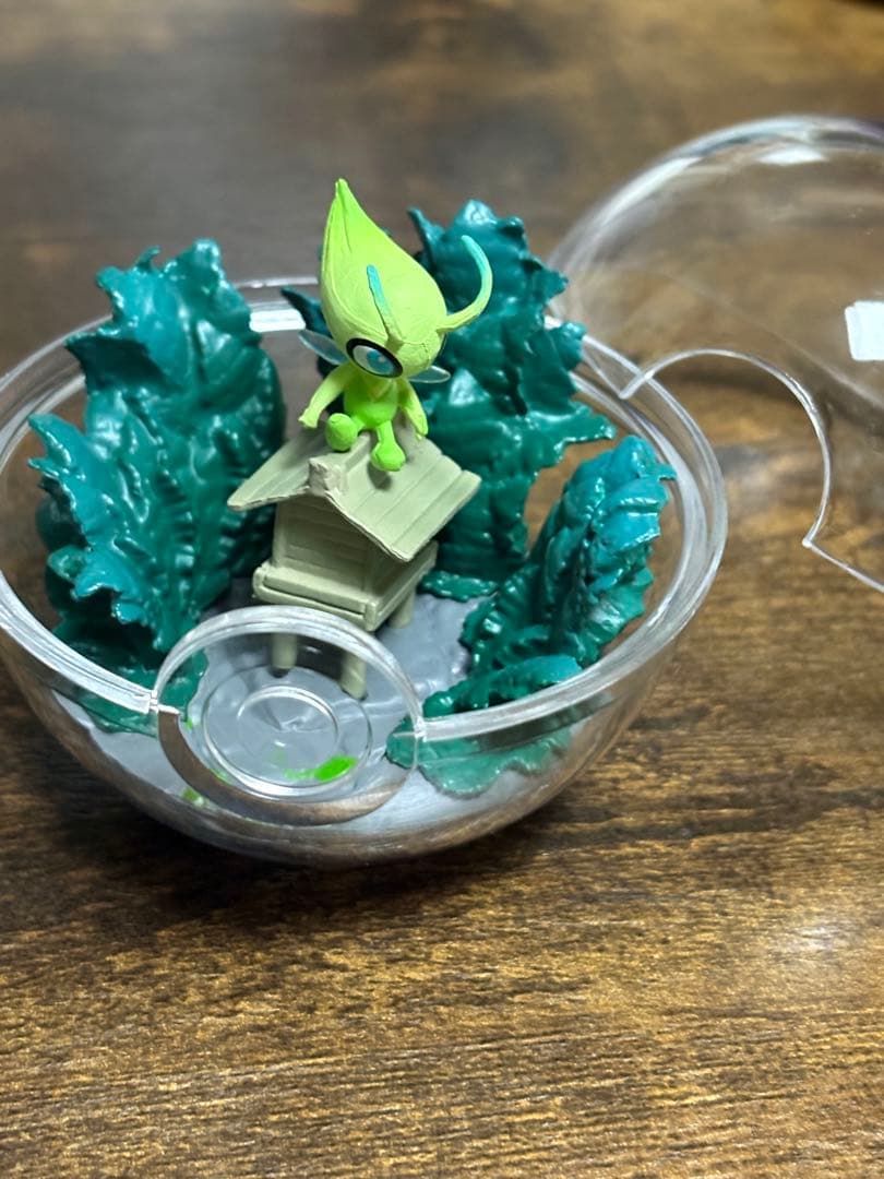 ポケモン テラリウムコレクション ⚠️プロフ必読