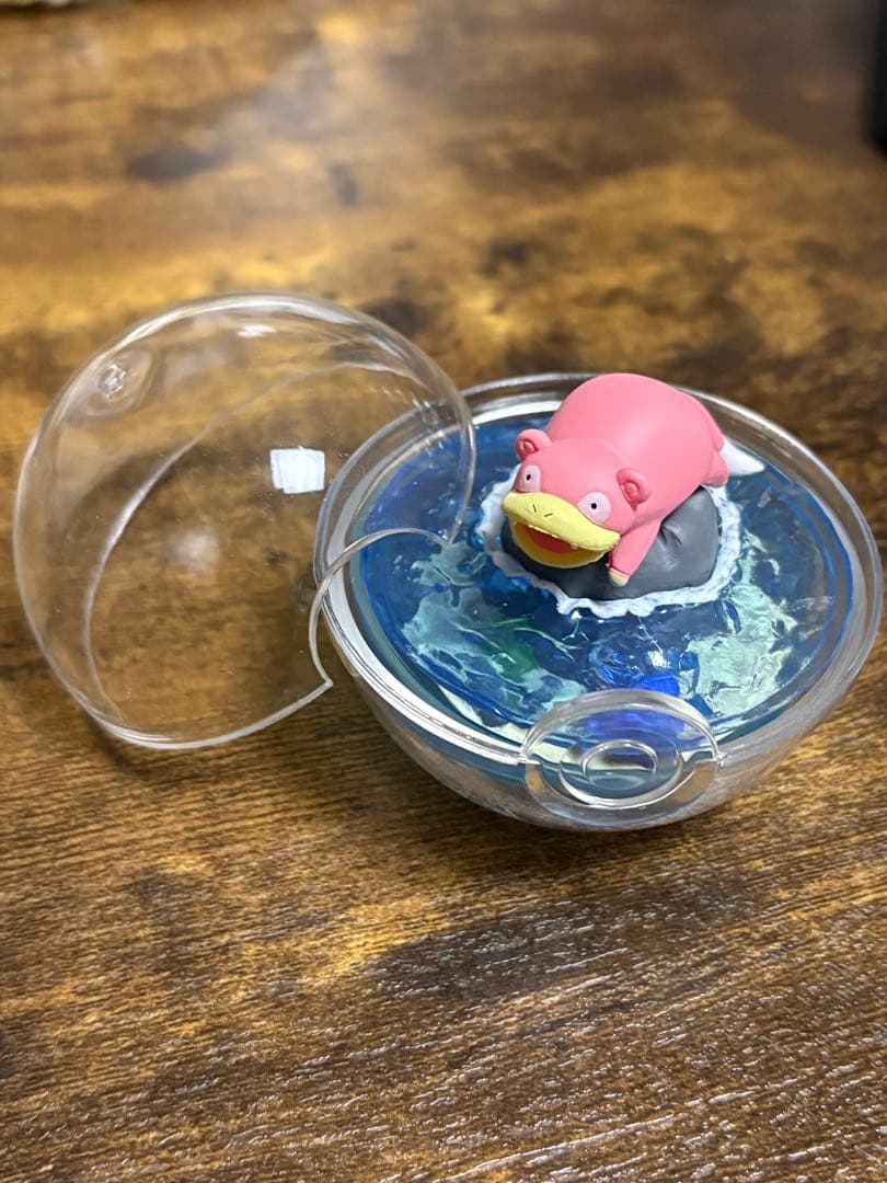 ポケモン テラリウムコレクション ⚠️プロフ必読