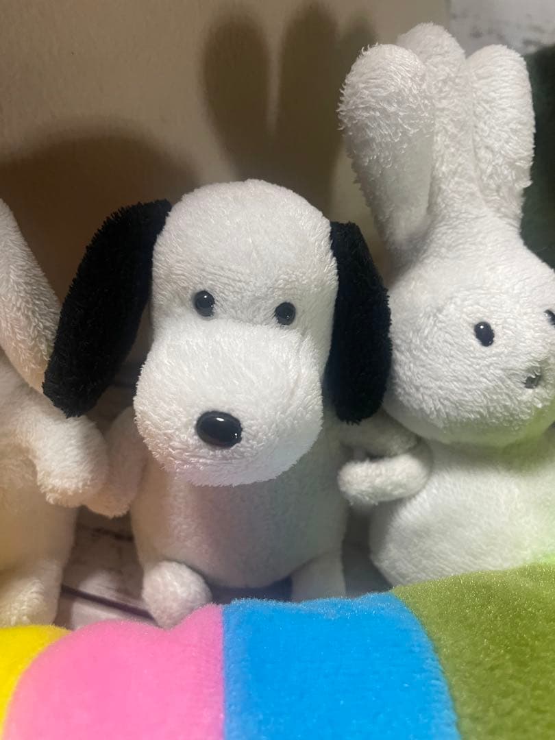 バムとケロシリーズ ぬいぐるみ まとめ売り