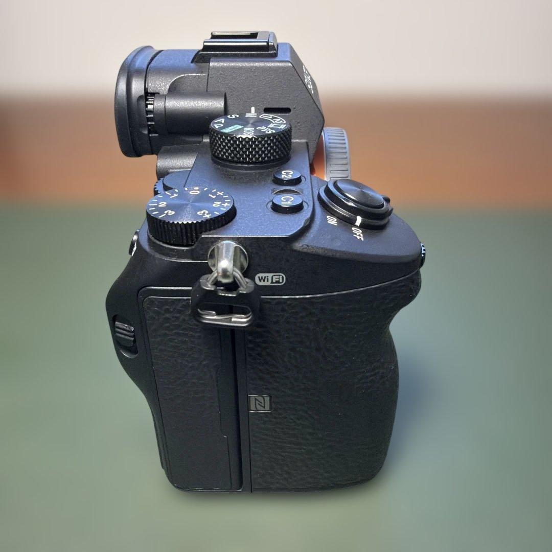 撮影枚数2854枚 SONY α7Ⅲ