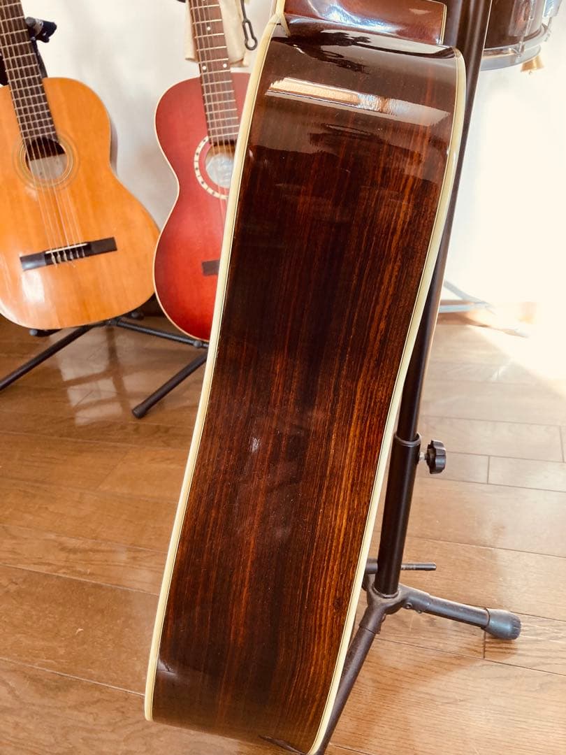 TF Morris W610 縦ロゴ モーリス