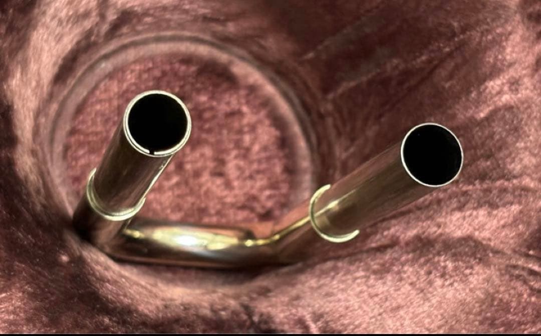 c.s.willson cs 231 GB フルダブルホルン