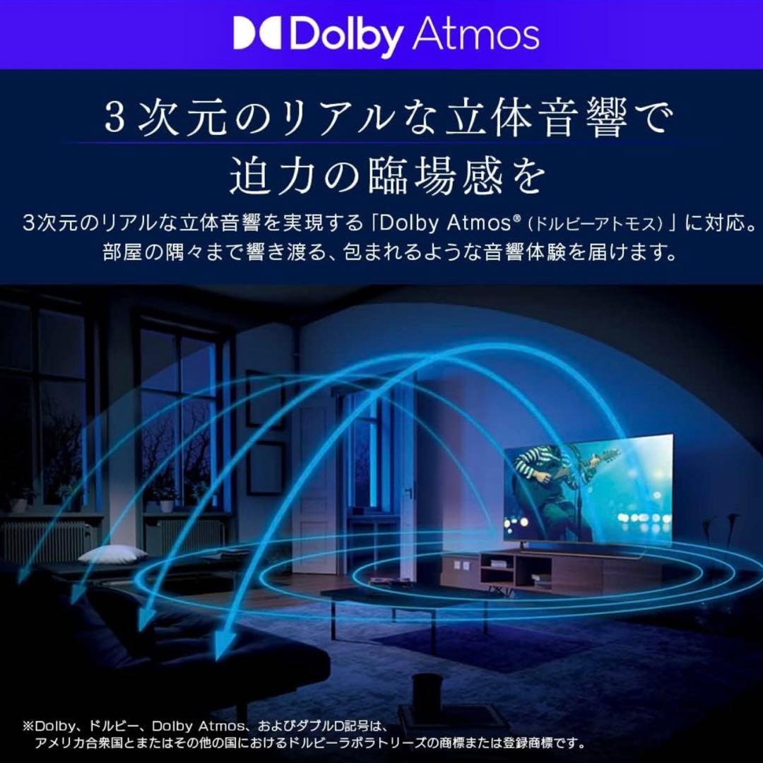 未使用！アイリスオーヤマ 55V型 4K液晶テレビ 55XDA20 2024年製