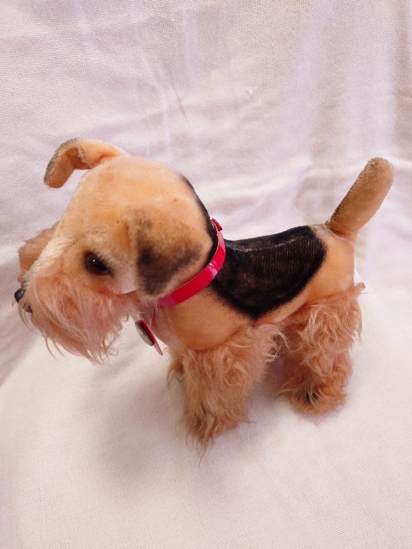 【希少品！】ふしぎ犬トントン★エアデールテリアぬいぐるみ