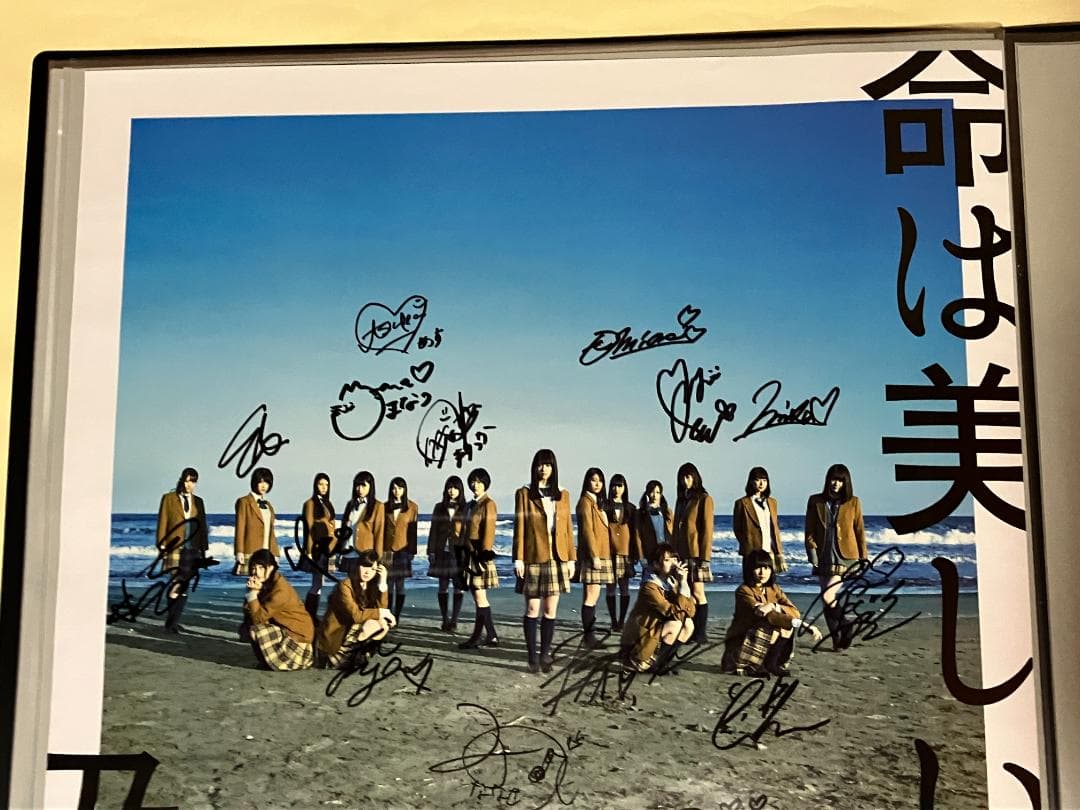 全員直筆サイン入 命は美しい B2ポスター 当選通知書付 乃木坂46