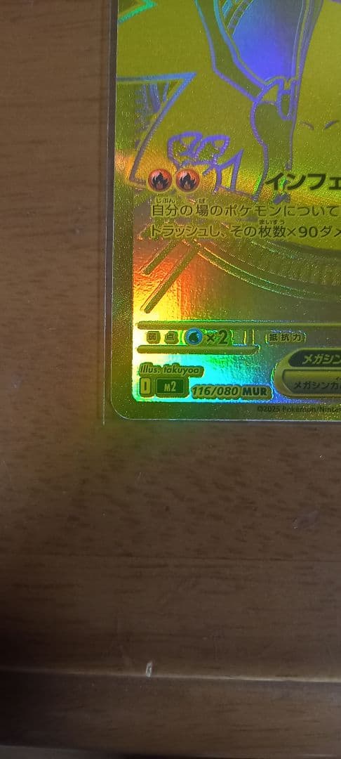 リザードンXex mur