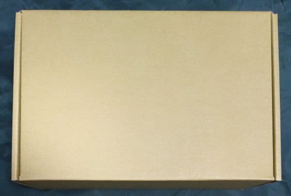 MAYAHOUSE 角楯カリン バニーガールver. 1/6 ガレージキット