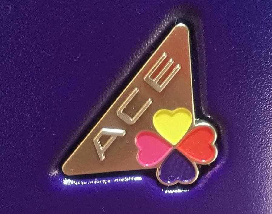 ももいろクローバーZ x ACE コラボキャリーケース　新品、未使用、タグ付き