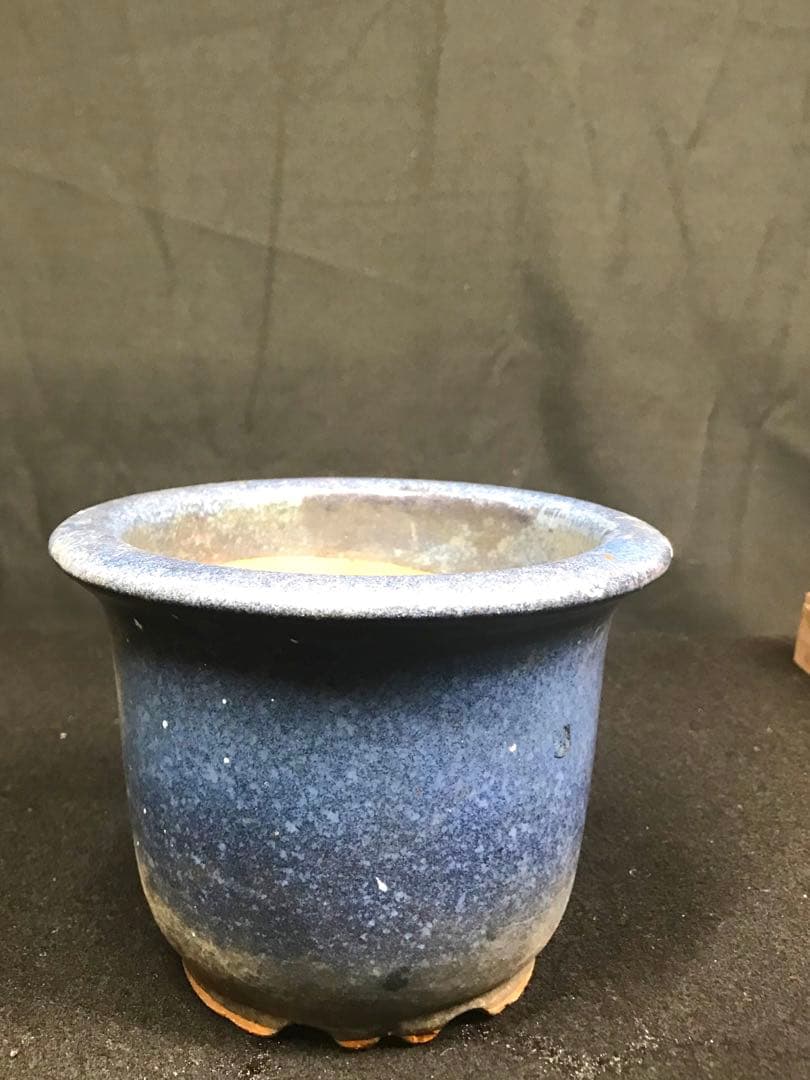 盆栽鉢　植木鉢　山野草鉢　観葉植物　園芸　ミニ盆栽鉢各種　落款あり 8個まとめて