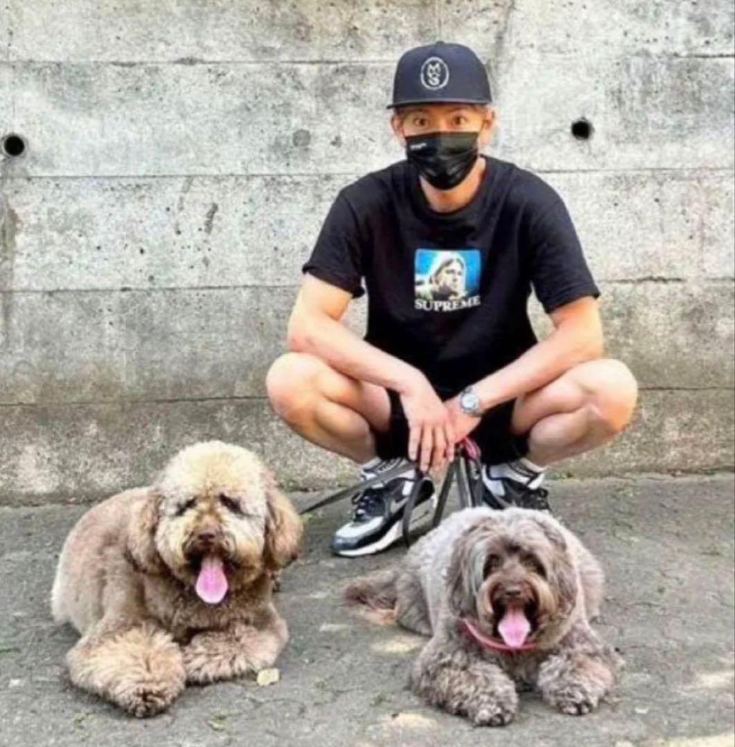 supreme  cobain tee BLACK M カートコバーン