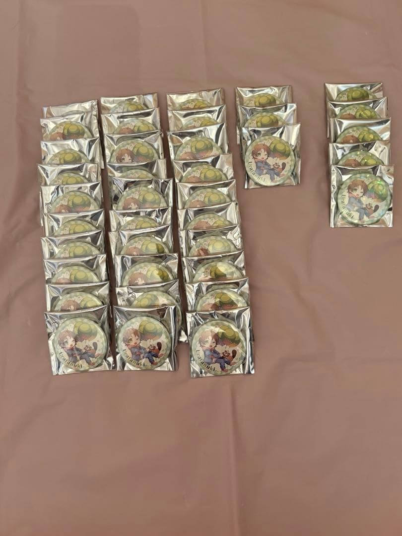 うらたぬき缶バッジ