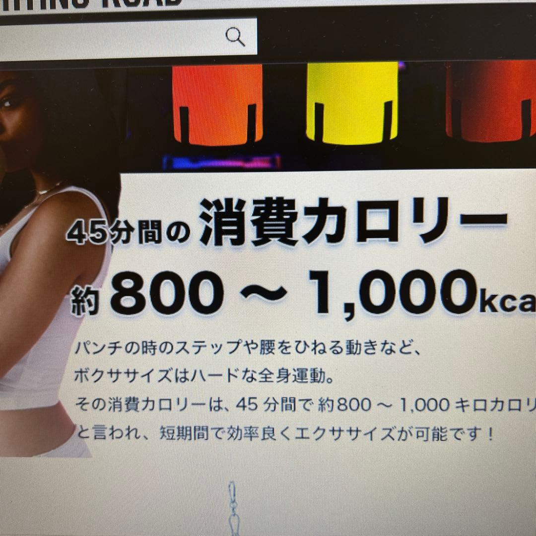 FIGHTING ROAD サンドバッグ オレンジ