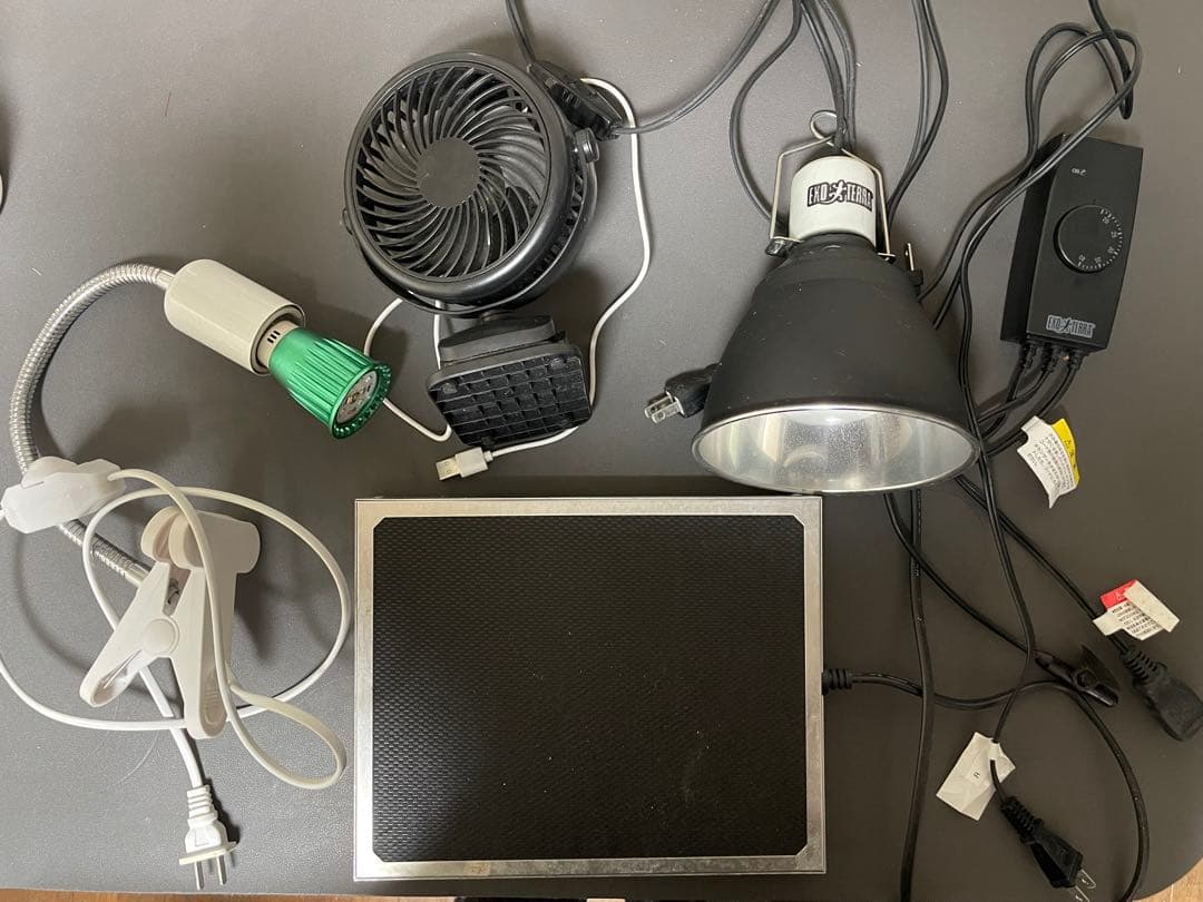 爬虫類飼育セット