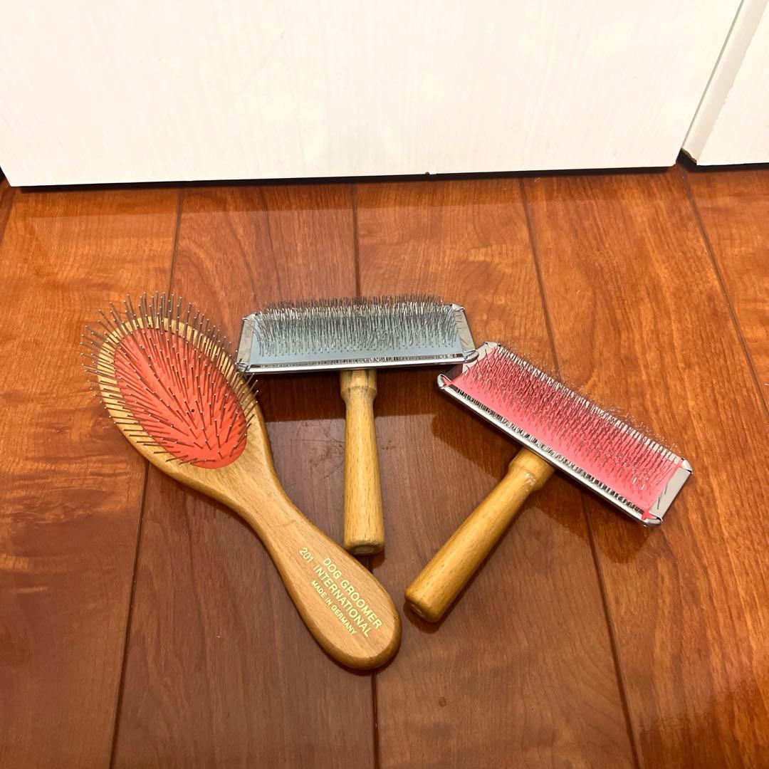 トリミングセット　専門学校