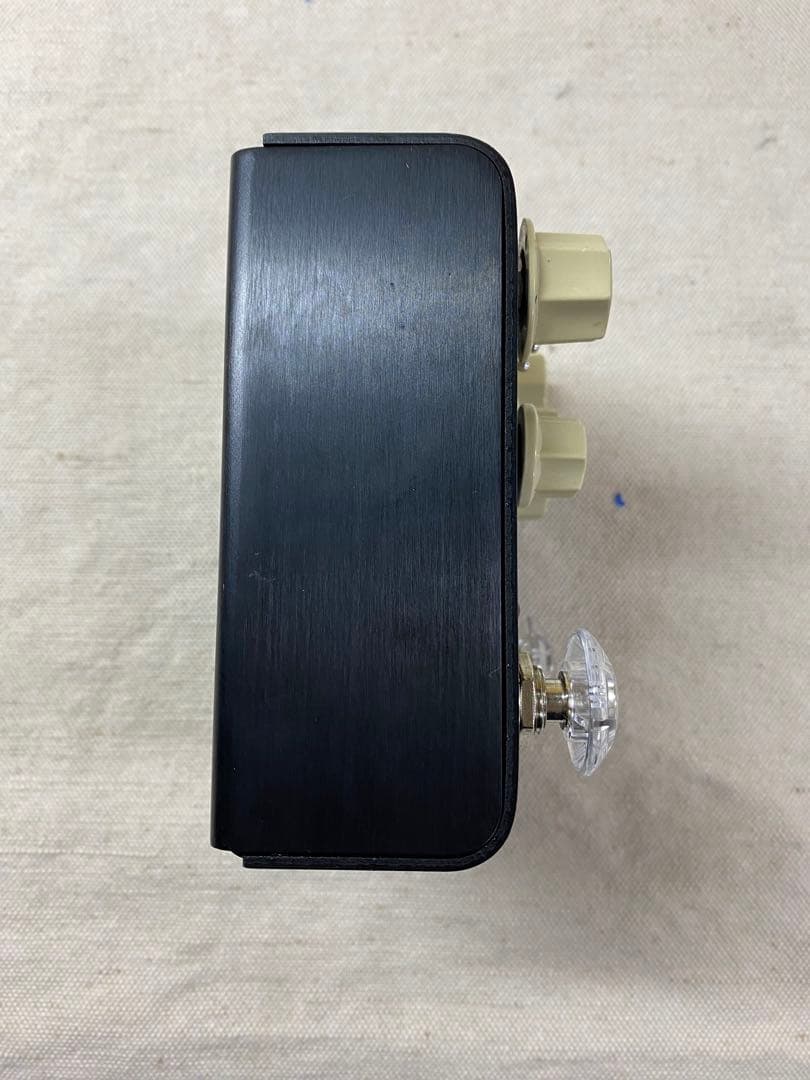 ギター strymon Flint