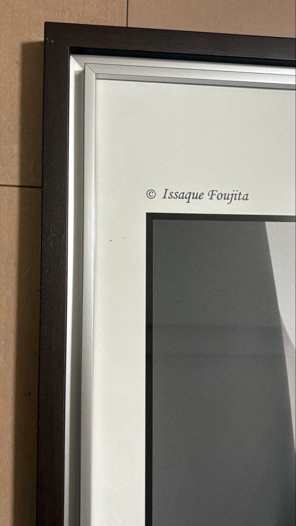 藤田一咲　『アース』　アートデコ　芸術写真　美術