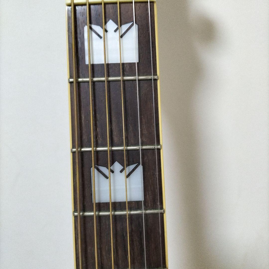 Epiphone EJ-200　ハードケース付