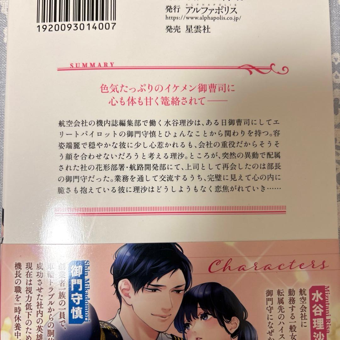 【専用】エタニティブックス・ルネッタブックス・ヴァニラ文庫　11月新刊