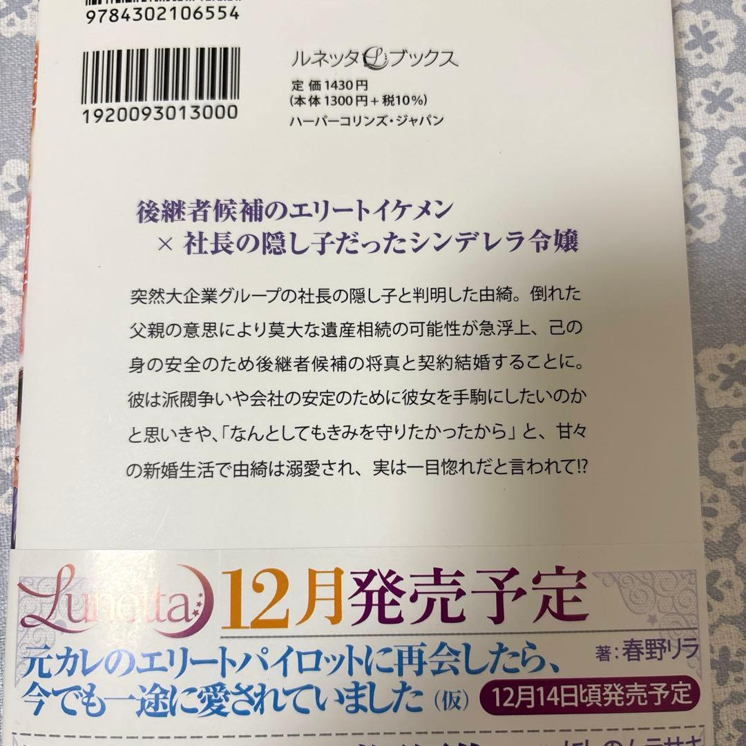 【専用】エタニティブックス・ルネッタブックス・ヴァニラ文庫　11月新刊