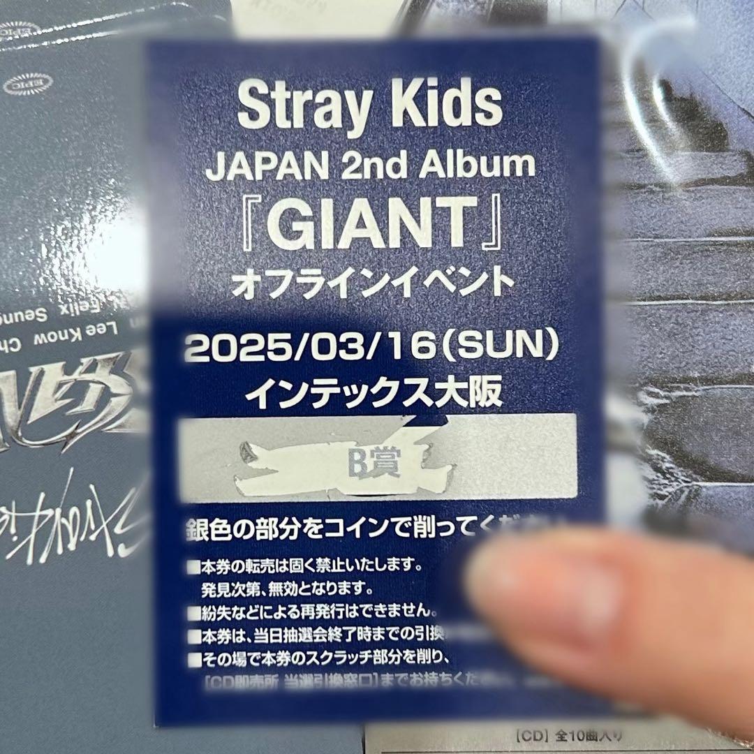 Stray Kids スキズ アイエン 直筆 サイン チェキ GIANT B賞