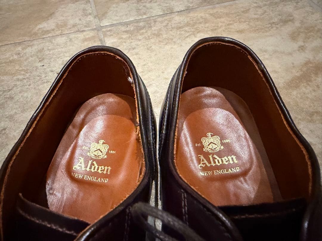 【極美品】Alden 2210 NST コードバン 6.5E アバディーンラスト