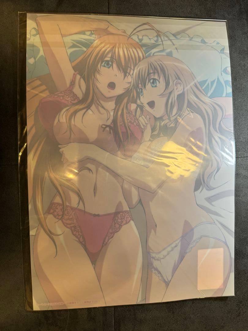 クリアポスター　DMMスクラッチ　一騎当千シリーズ　C賞　4枚セット