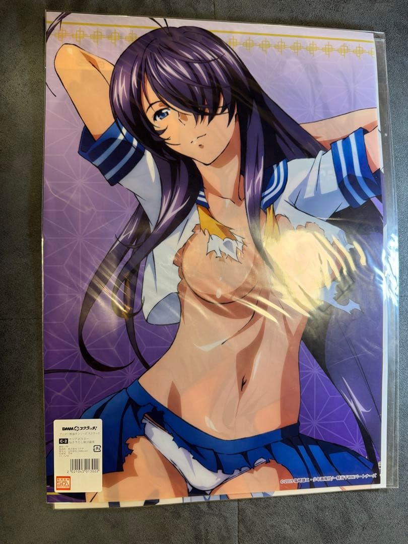 クリアポスター　DMMスクラッチ　一騎当千シリーズ　C賞　4枚セット