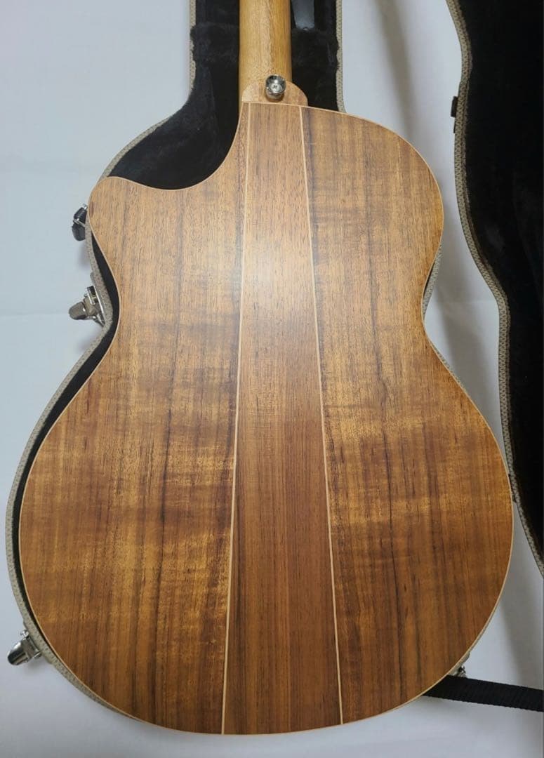 (極美品)Cole Clark AN2EC-BB （直筆サイン入り）