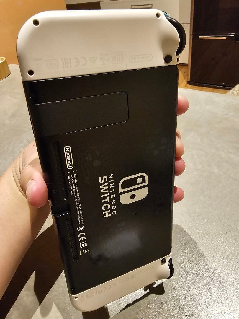 Nintendo　 Switch　あつまれ　どうぶつの森 セット