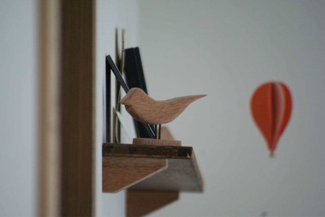 SONY α200 デジタル一眼　35-105 100-300 ダブルレンズ※注