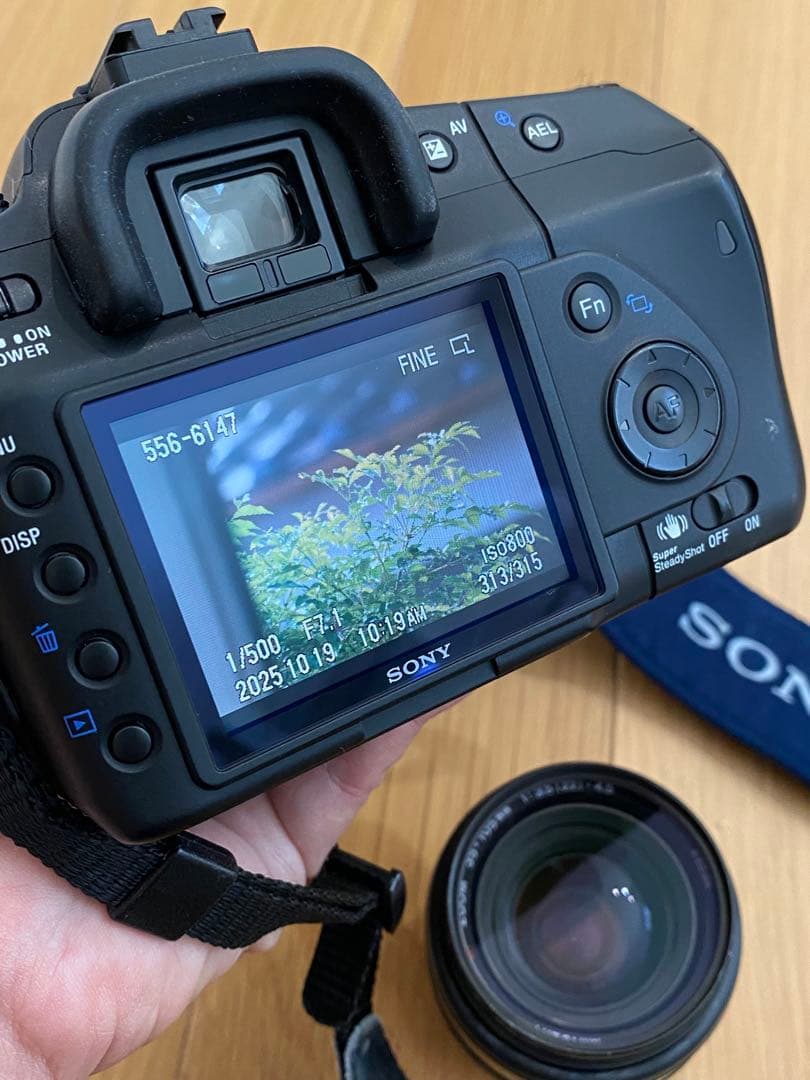 SONY α200 デジタル一眼　35-105 100-300 ダブルレンズ※注