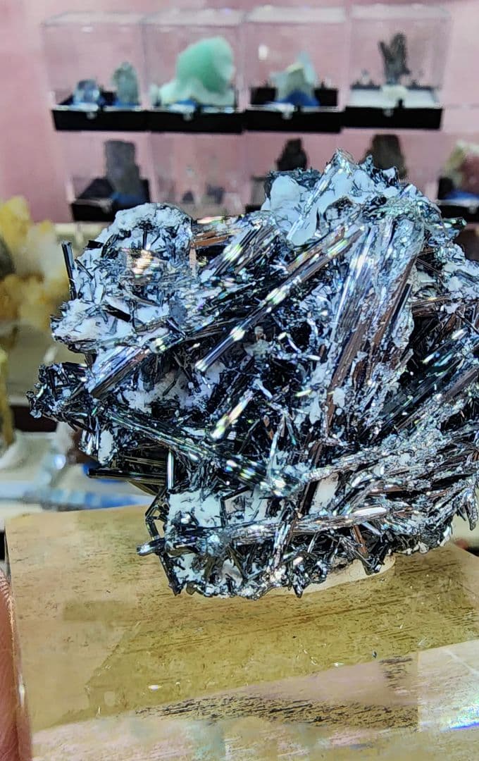 スティブナイト